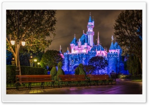 Disneyland Sleeping Beauty...