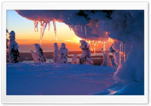 Icicles At Sunset