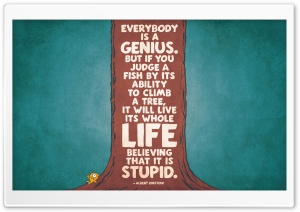 Everybody is a Genius