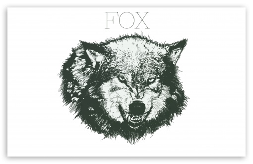 Download FOX UltraHD Wallpaper