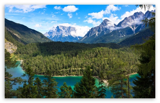 Download Mountain Forest UltraHD Wallpaper