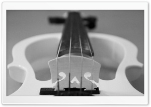 Black White Violin
