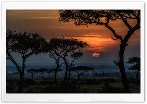 Sunrise in Masai Mara, Kenya,...