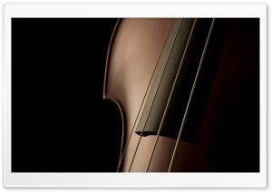 Double Bass Close Up