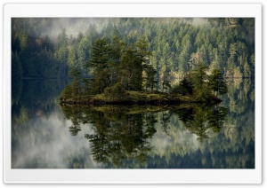 Island With Pines In The Lake