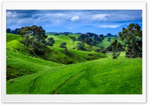Green Meadow Hills Landscape