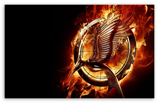 Download The Hunger Games Catching Fire Movie UltraHD Wallpaper