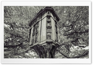 Building In A Tree