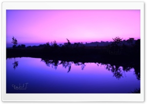 Purple Sky