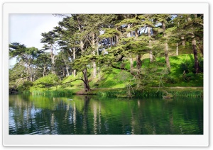 Golden Gate Park   Stow Lake...