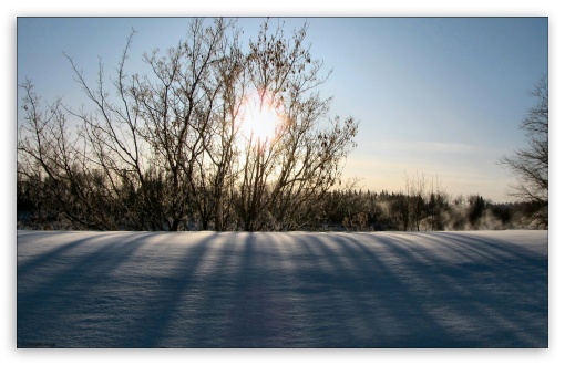 Download Winter Morning UltraHD Wallpaper