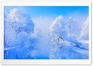 Frozen Winter Landscape