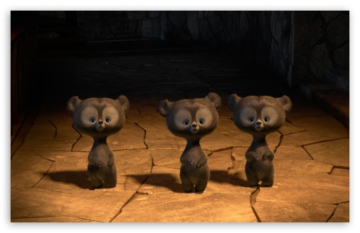 Download Brave Triplet Bear Cubs UltraHD Wallpaper