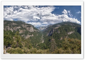 Yosemite Valley Viewpoint