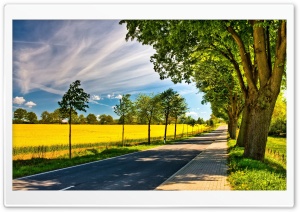 Late Summer Landscape