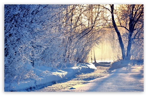 Download Winter Morning Light UltraHD Wallpaper