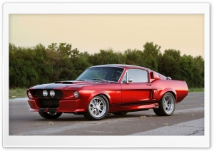 Shelby Mustang GT500CR 1967