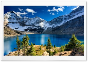 Lake OHara, Yoho National...