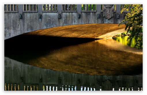 Download Bridge Reflection, Nature Photography UltraHD Wallpaper