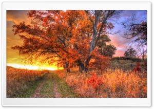 Sunset on the Hiking Trail