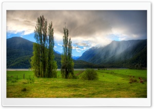 Landscape In New Zealand
