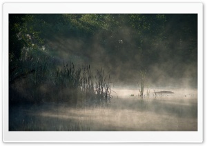 Morning Mist, Finland