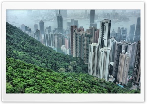 Hong Kong Hills