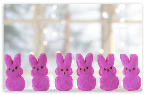 Download Easter Candy Bunnies UltraHD Wallpaper