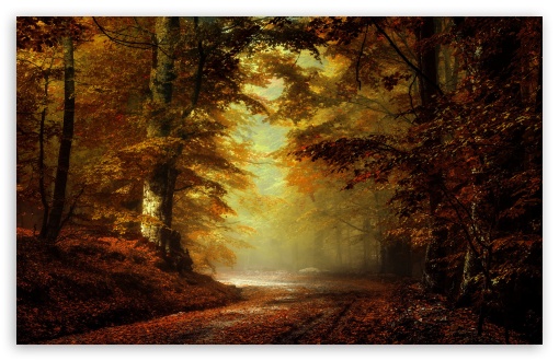 Download Beautiful Autumn Landscape UltraHD Wallpaper