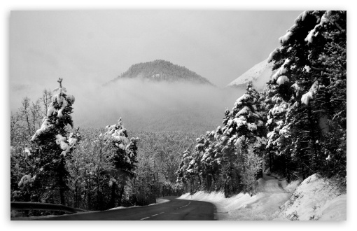 Download Silence And Stillness On A Winter Road UltraHD Wallpaper
