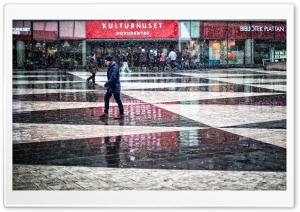 Snowing In Stockholm
