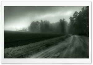 Foggy Country Road