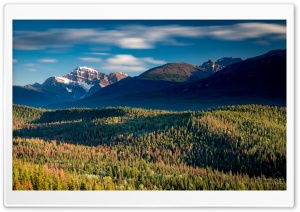 Jasper National Park, Canada,...