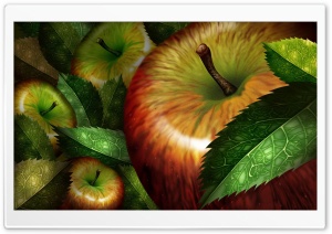Apples Illustration