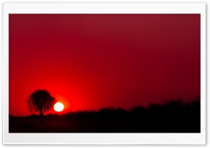 Red Sunset, Botswana, Africa
