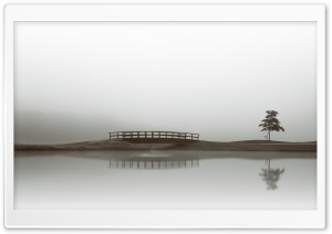 Calm Water, Bridge, Tree...