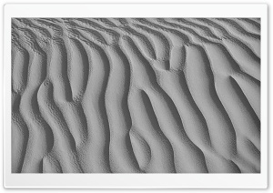 Desert Sand Texture Black and...