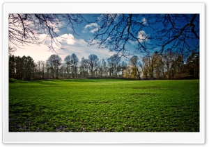 Beautiful Meadow, Spring