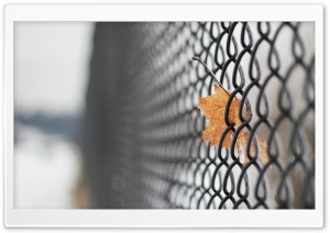 Mesh Fence