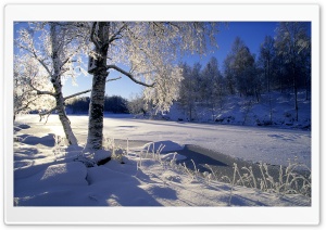 Frozen River, Winter