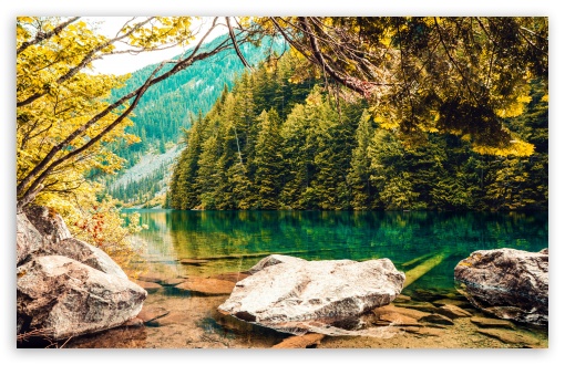 Download Green Lake, Forest UltraHD Wallpaper