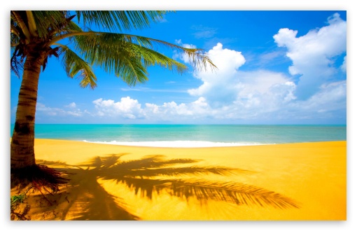 Download Gorgeous Beach In Summertime UltraHD Wallpaper
