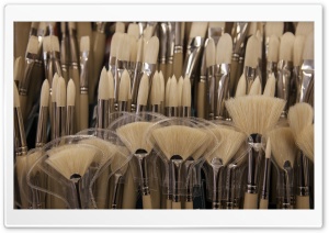 Paint Brushes