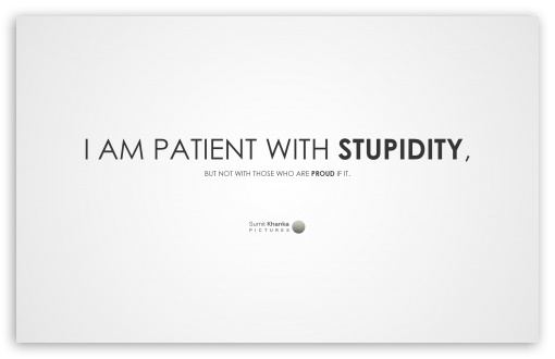 Download Stupidity UltraHD Wallpaper