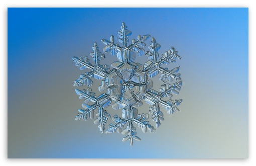 Download Real Snowflake Under Microscope UltraHD Wallpaper
