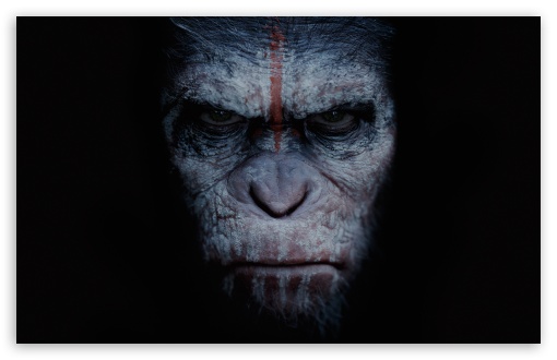 Download Dawn of the Planet of the Apes 2014 Movie UltraHD Wallpaper