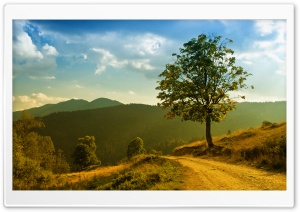 Old Road Through The Mountains