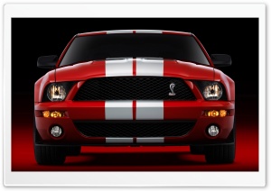 2007 Ford Shelby GT500...