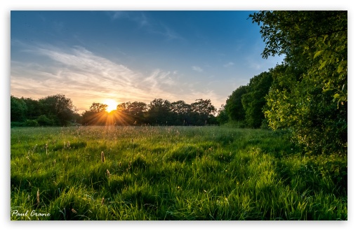 Download Meadow Sunset. UltraHD Wallpaper