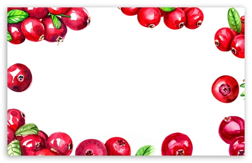 Download Cranberries Thanksgiving Watercolor Background UltraHD Wallpaper